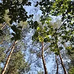 Frono Nad Bugiem - Dom Na Wynajem