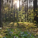 Frono Nad Bugiem - Dom Na Wynajem *
