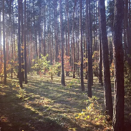 Frono Nad Bugiem - Dom Na Wynajem *