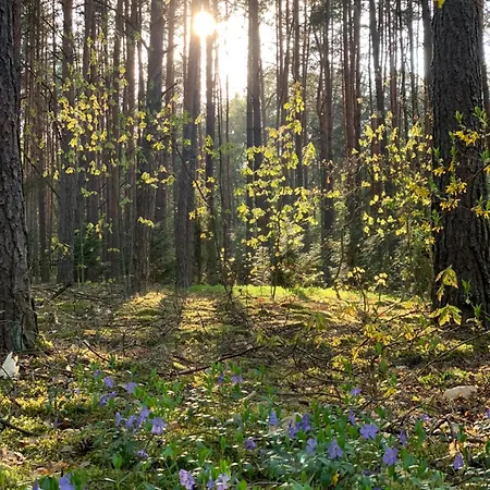 Frono Nad Bugiem - Dom Na Wynajem *